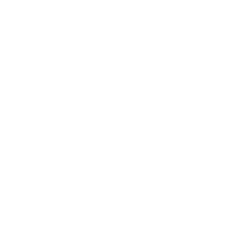 BorderLand500